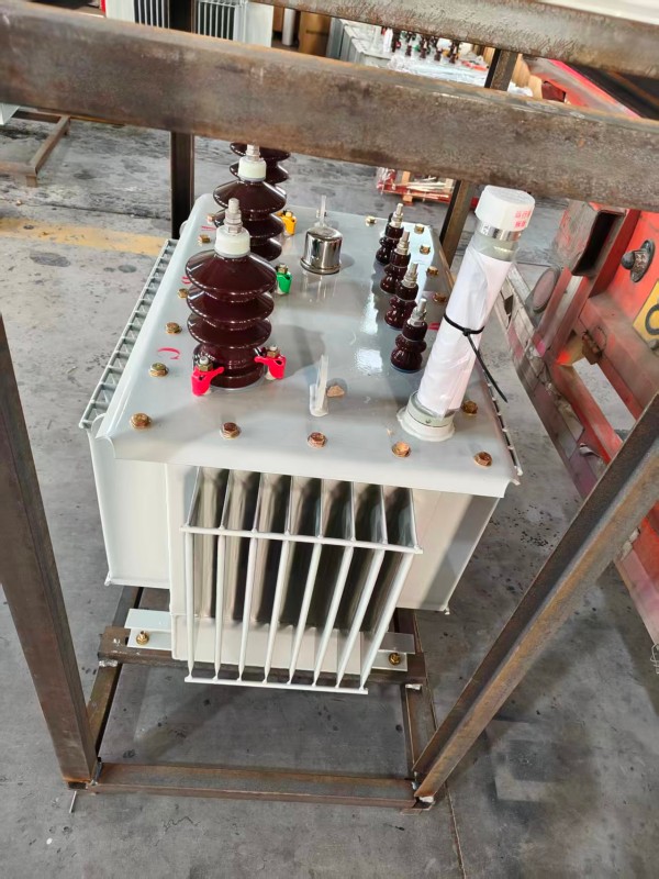 S13‑1000kVA <a href='https://wuda.xdbyq.cn/youjinshi/' target='_blank' title='乌达油浸式变压器'><strong>乌达油浸式变压器</strong></a> 大型厂区 S13 乌达乌达乌达油浸式变压器 S13‑1000kVA 乌达乌达乌达油浸式变压器 大型厂区 S13 乌达乌达乌达油浸式变压器